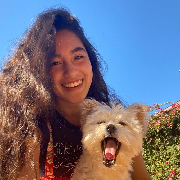 Meet your Posher, Bea - Picture 1 of 1